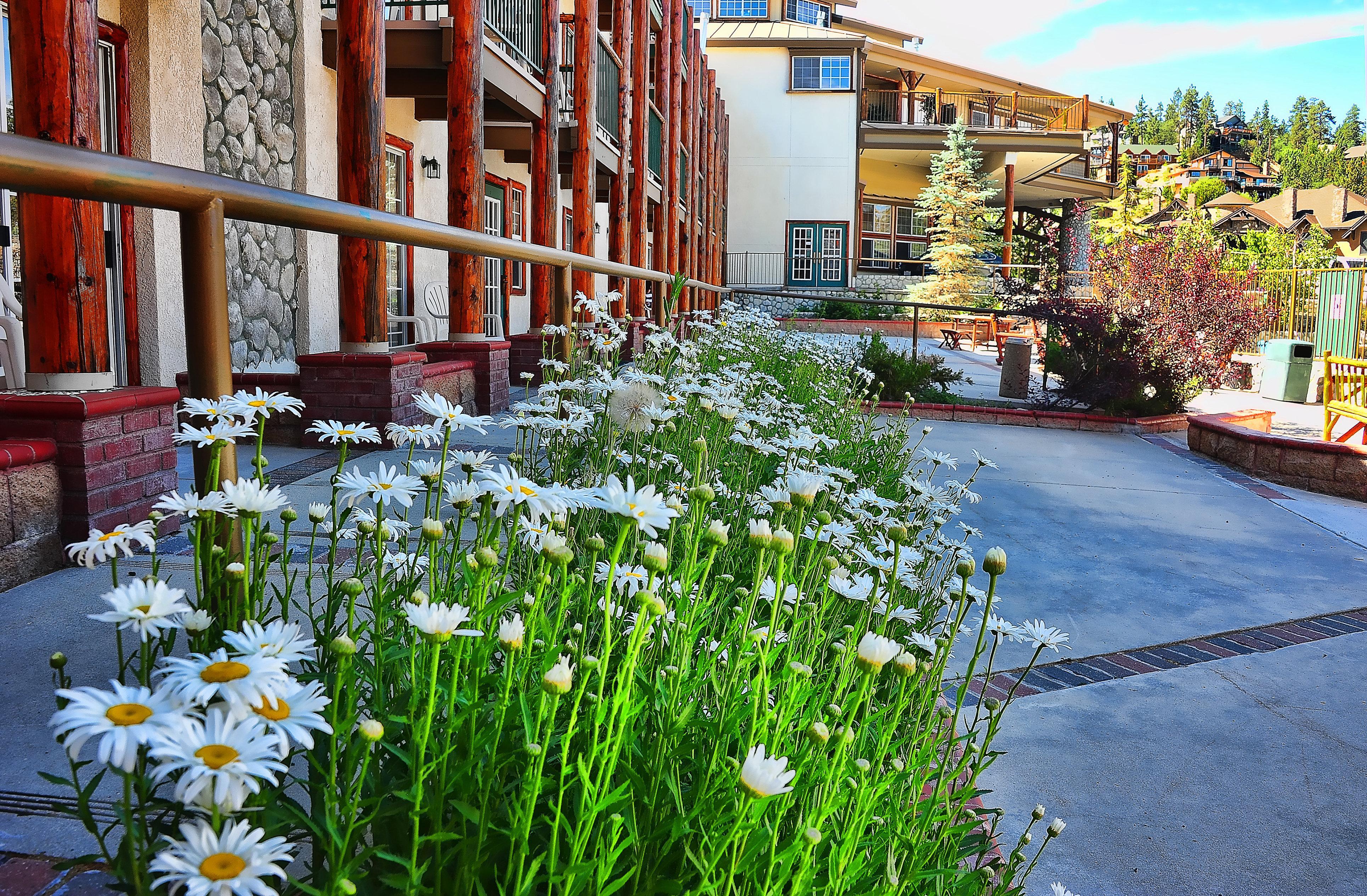 Holiday Inn Resort The Lodge At Big Bear Lake By Ihg Εξωτερικό φωτογραφία